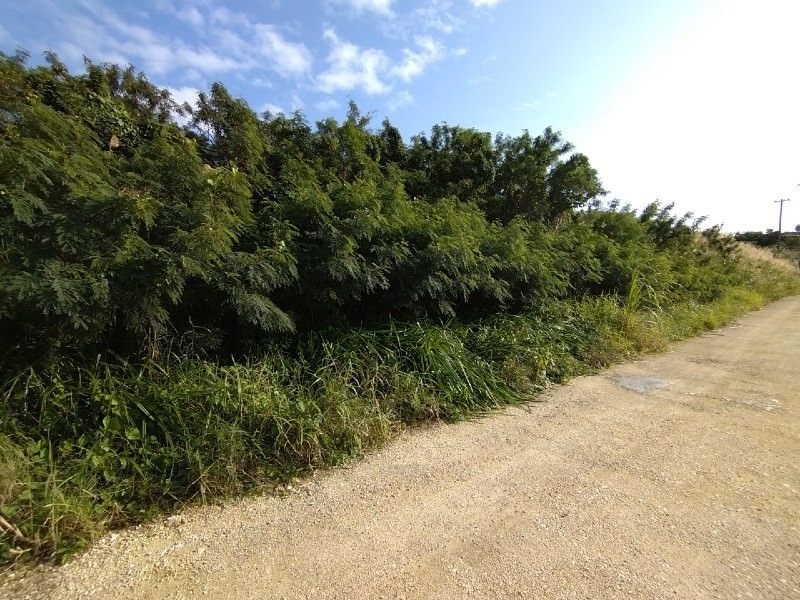 Agricultural Land for Sale in Yaese Town, Okinawa - 917 sqm Plot - Thumbnail 2