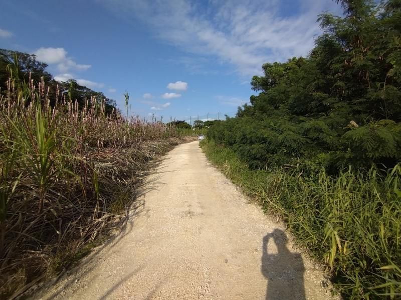 Agricultural Land for Sale in Yaese Town, Okinawa - 917 sqm Plot - Thumbnail 3