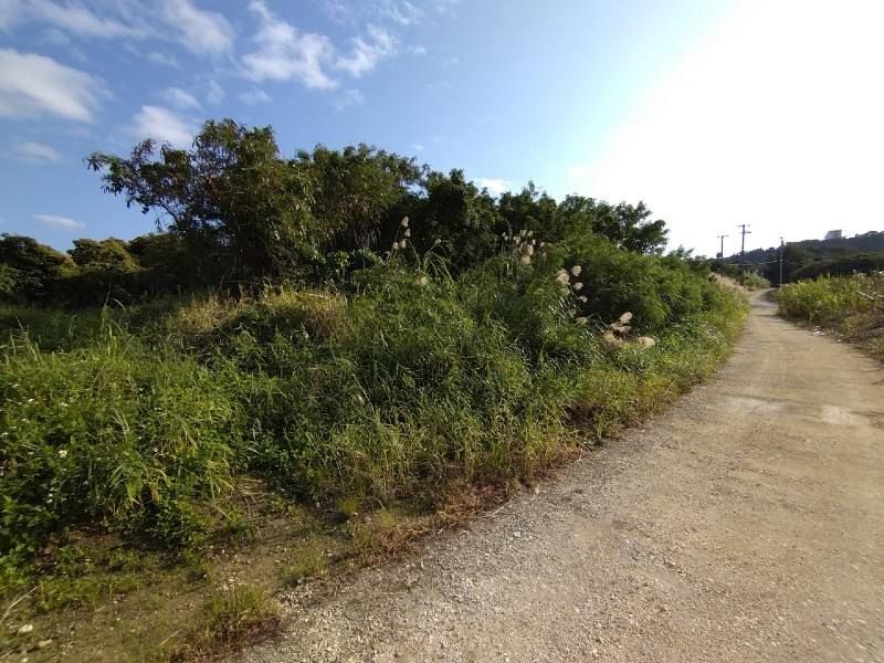 Agricultural Land for Sale in Yaese Town, Okinawa - 917 sqm Plot - Thumbnail 4