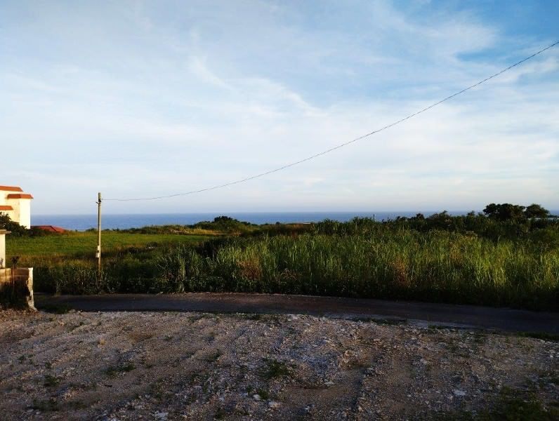 Land for Sale in Tsukari, Itoman City, Okinawa - 407.61 sqm - Thumbnail 2