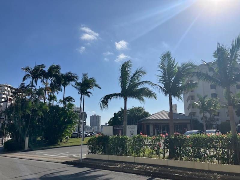 D-Grafort Okinawa Tower 2LDK Condo in Naha Omoromachi - Thumbnail 3