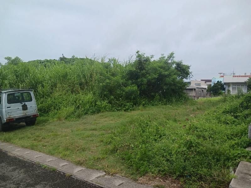 251 sqm Land Plot for Sale in Tairaku, Ishigaki City, Okinawa - Thumbnail 2
