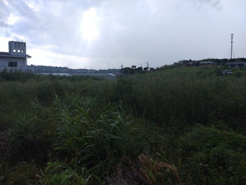 Land for Sale in Toyohara, Itoman City, Okinawa - 1258 sqm - Thumbnail 3