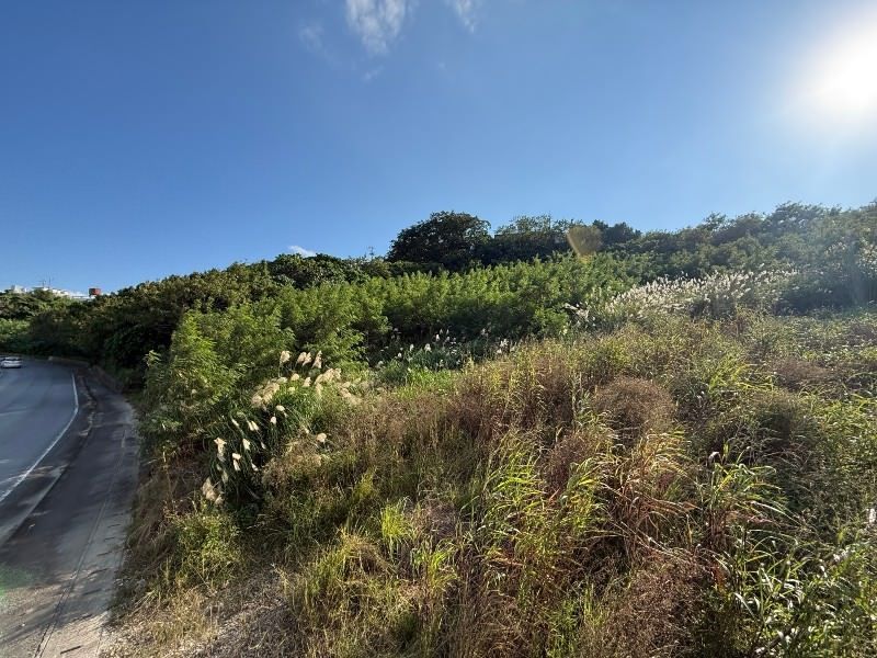 816 sqm Farmland for Sale in Onaga, Tomigusuku, Okinawa - Thumbnail 4