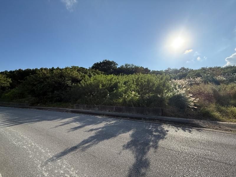 816 sqm Farmland for Sale in Onaga, Tomigusuku, Okinawa - Thumbnail 2