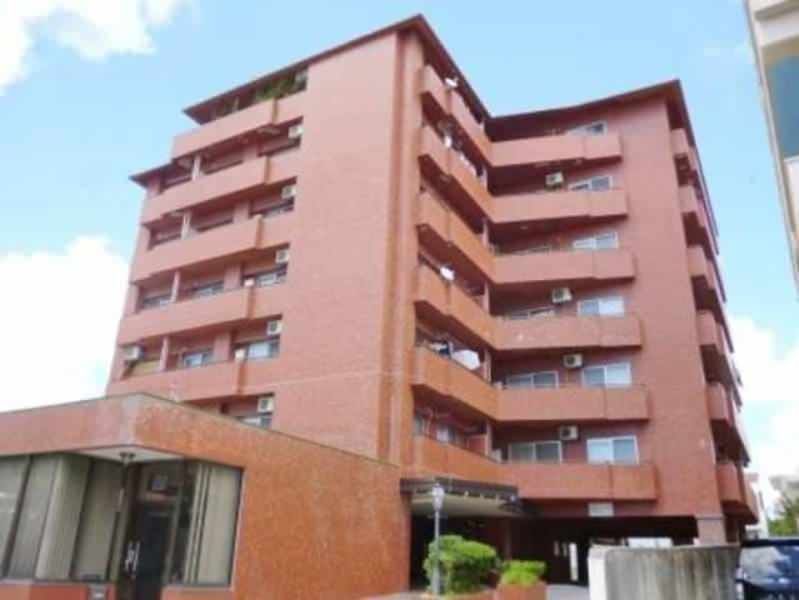 Pet-Friendly 2LDK Apartment for Rent in Naha City, Okinawa - Thumbnail 4