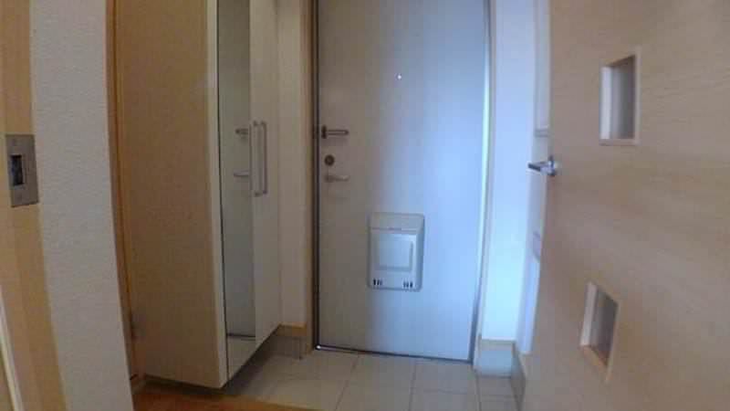 Pet-Friendly 1LDK Apartment for Rent in Nago, Okinawa - Thumbnail 3
