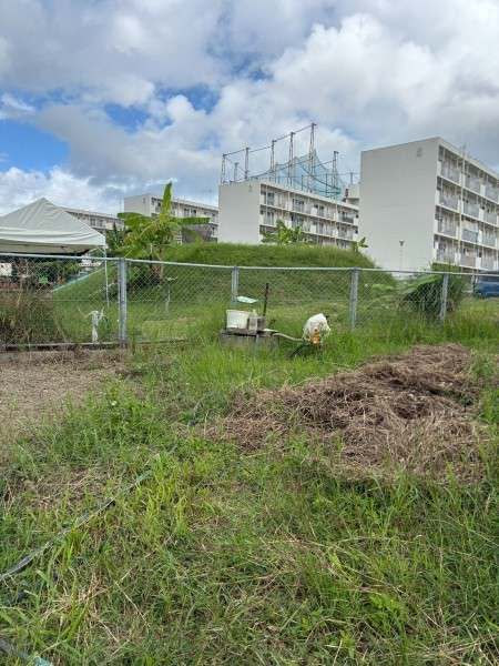 Rental Farmland in Awane, Itoman - 826.4 sqm Plot - Thumbnail 3