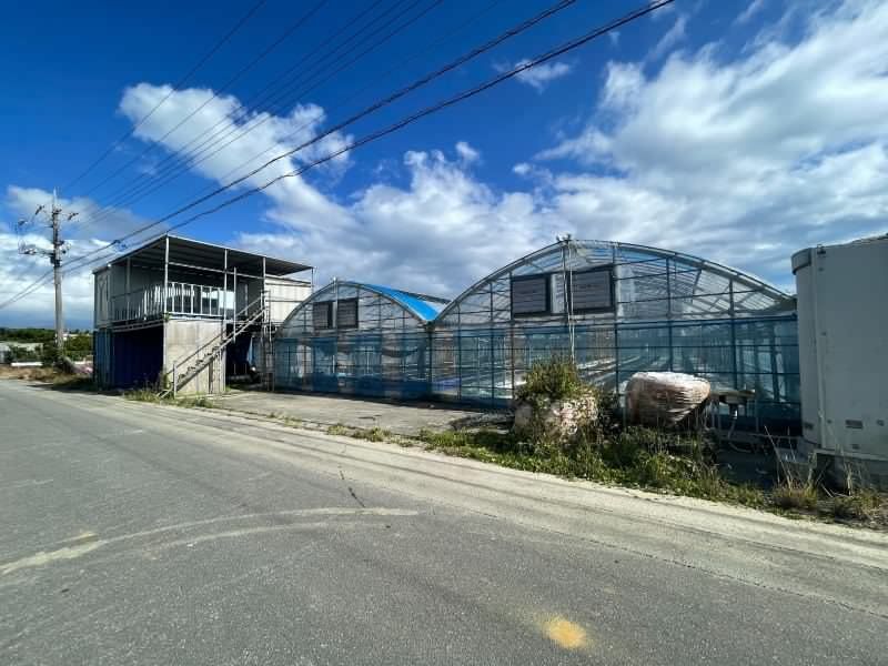 Farmland for Sale in Yaese Town, Okinawa - 1228 sqm Plot - Thumbnail 2
