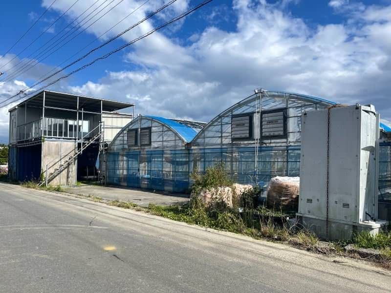 Farmland for Sale in Yaese Town, Okinawa - 1228 sqm Plot - Thumbnail 4