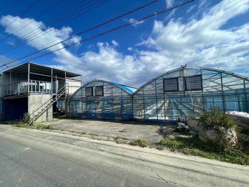 Farmland for Sale in Yaese Town, Okinawa - 1228 sqm Plot - Thumbnail 3