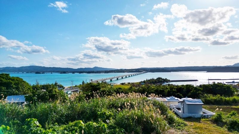 Land for Sale in Kouri, Nakijin, Okinawa – 542 sqm - Thumbnail 2