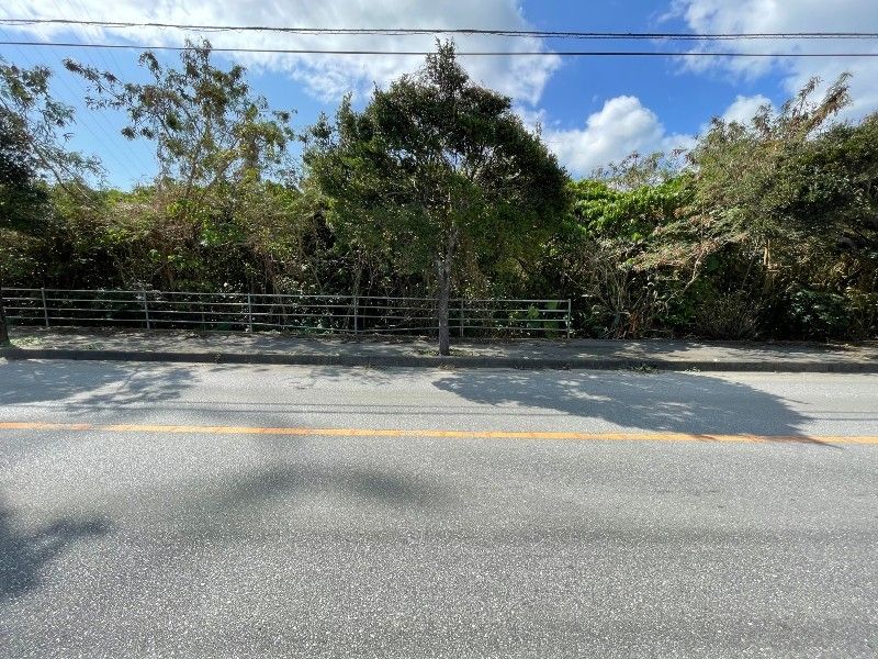 Agricultural Land for Sale in Itoman City, Okinawa - 116 sqm Plot - Thumbnail 4