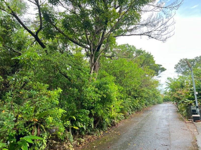 2,400 sqm Land for Sale in Keisatsu, Higashi Village, Okinawa - Thumbnail 4