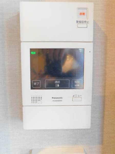 Modern 1LDK Apartment for Rent in Naha City, Okinawa - Thumbnail 3
