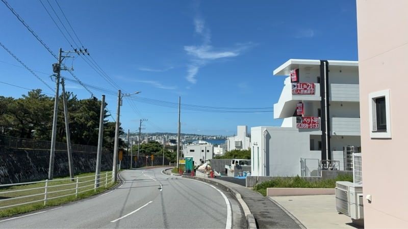 New 2LDK Pet-Friendly Apartment in Chatan, Okinawa - Thumbnail 2