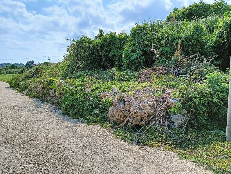 809.2 Tsubo Taro Field Land for Sale in Mabuni, Itoman - Thumbnail 3
