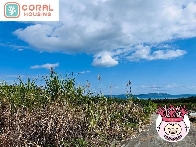 344 Tsubo Ocean View Farmland for Sale in Uruma, Okinawa - Thumbnail 2
