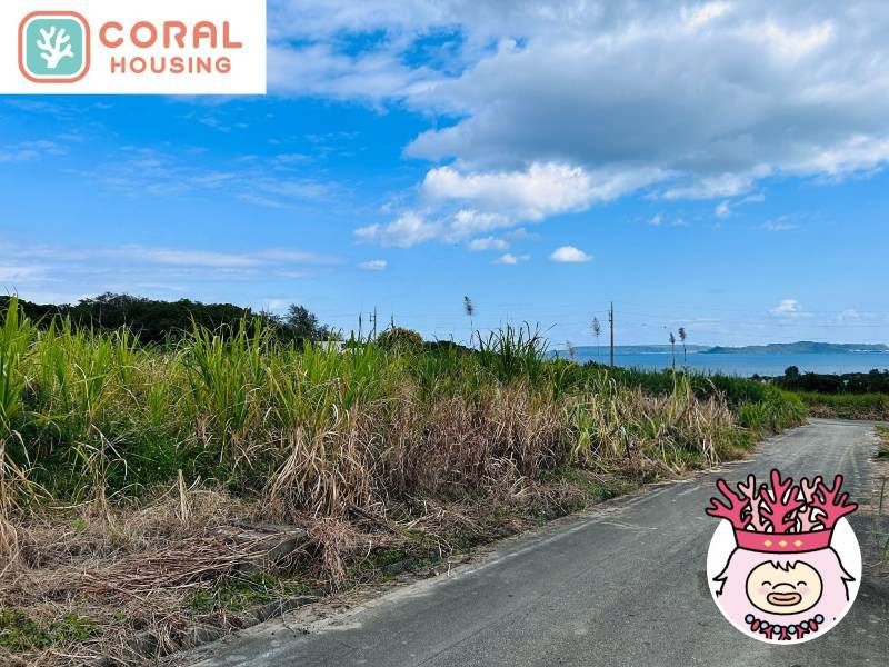 344 Tsubo Ocean View Farmland for Sale in Uruma, Okinawa - Thumbnail 3