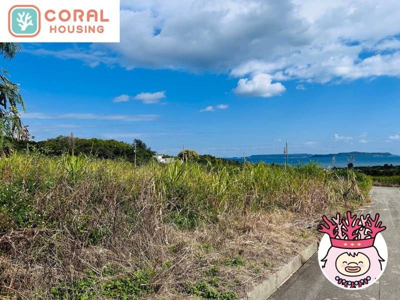 344 Tsubo Ocean View Farmland for Sale in Uruma, Okinawa - Thumbnail 4