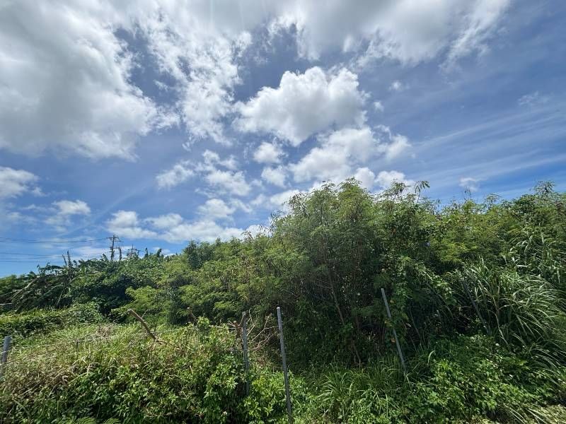 Agricultural Land for Sale in Taba, Uruma City, Okinawa - 1,736 sqm - Thumbnail 2