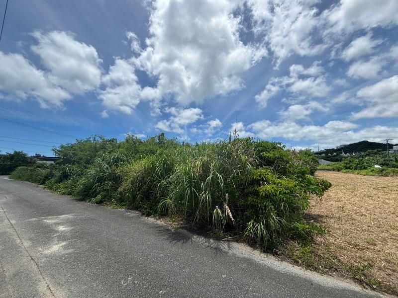 Agricultural Land for Sale in Taba, Uruma City, Okinawa - 1,736 sqm - Thumbnail 4