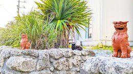 Kouri Island Wooden House with Ocean Views in Nakijin — Image 3, Nakijin, Okinawa