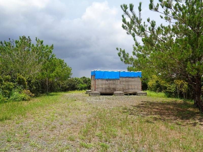 18,091 sqm Forest Land for Sale in Ogimi Village, Okinawa - Thumbnail 3