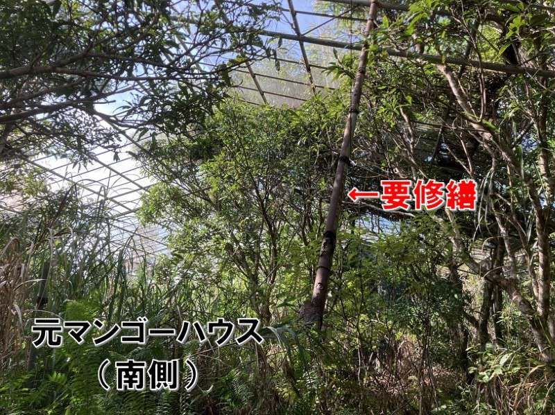 5,093 Tsubo Agricultural Land for Sale in Higashi Village, Okinawa - Thumbnail 3