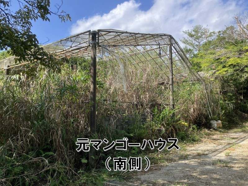 5,093 Tsubo Agricultural Land for Sale in Higashi Village, Okinawa - Thumbnail 2
