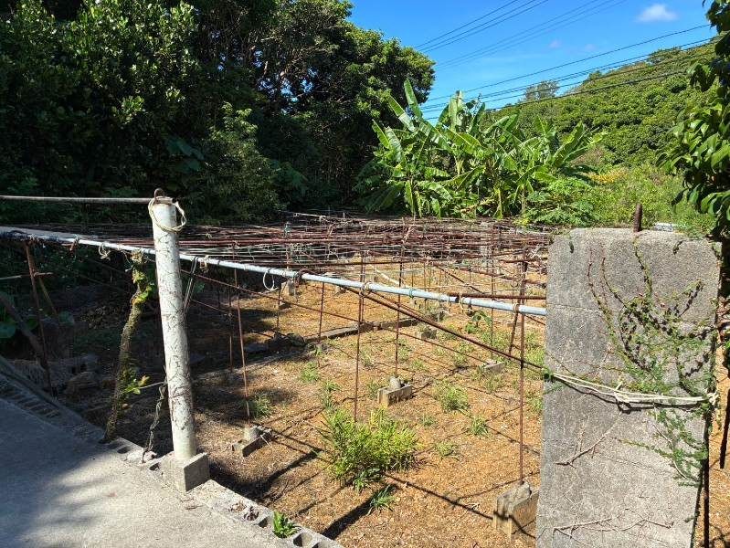 Traditional 3LDK House in Motobu, Okinawa - Thumbnail 3
