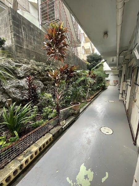 Refurbished 1LDK Apartment for Rent in Urasoe, Okinawa - Thumbnail 2