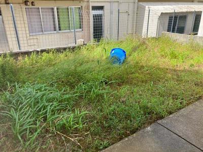 Modern 3LDK House with Garden in Onna Village, Okinawa — Image 1, Onna, Okinawa