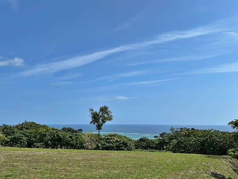 Ocean View Land for Sale in Nanjo City, Okinawa - 991 sqm - Thumbnail 2