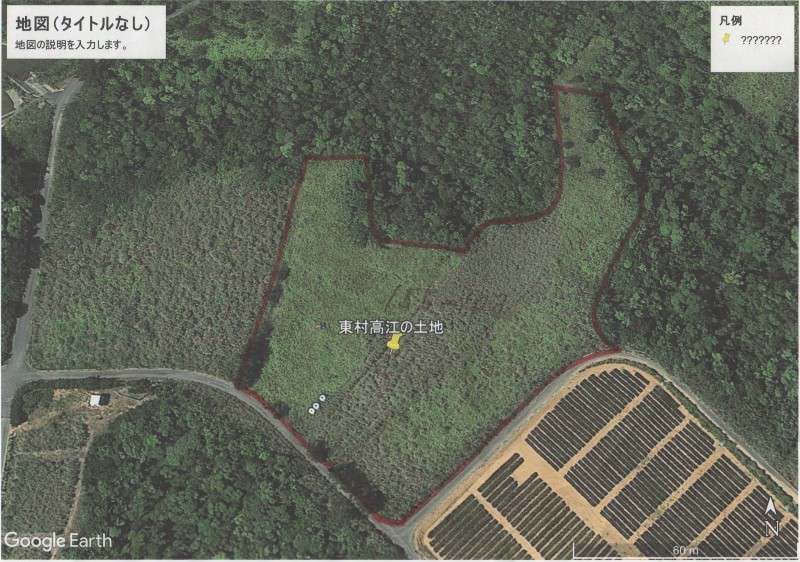 6,984 sqm Farmland for Sale in Takae, Higashi Village, Okinawa - Thumbnail 2