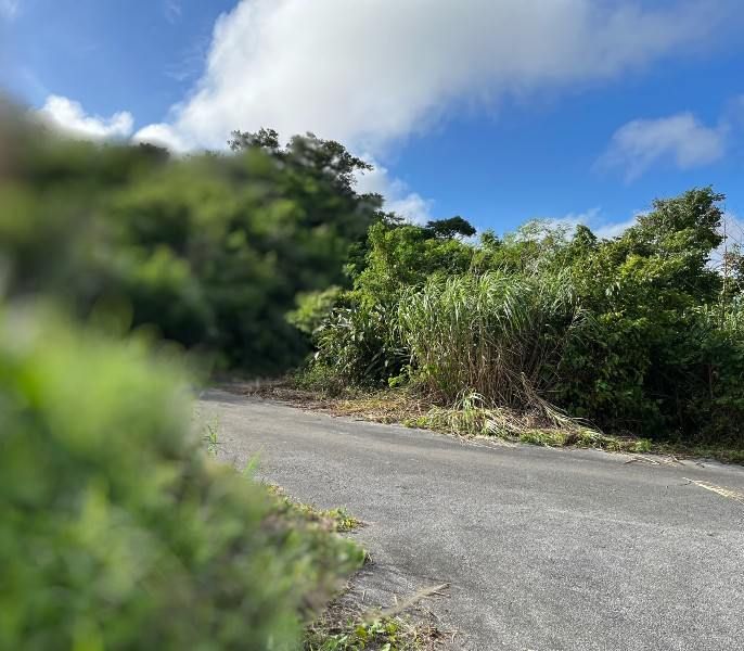 Land for Sale in Hoemori, Tomigusuku - 2,310 sqm Plot - Thumbnail 2