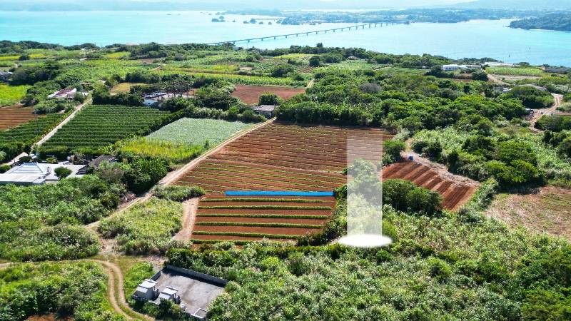 34.5 Tsubo Vacant Land for Sale in Kouri, Kunigami Village, Okinawa - Thumbnail 3