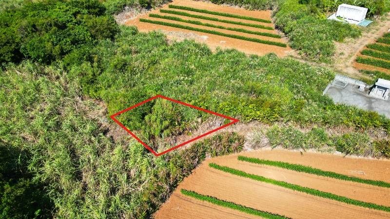 34.5 Tsubo Vacant Land for Sale in Kouri, Kunigami Village, Okinawa - Thumbnail 4