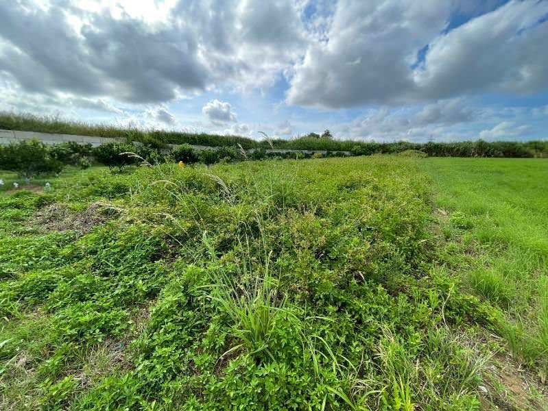 153.06 sqm Vacant Land for Sale in Shinjo, Yaese Town, Okinawa - Thumbnail 4