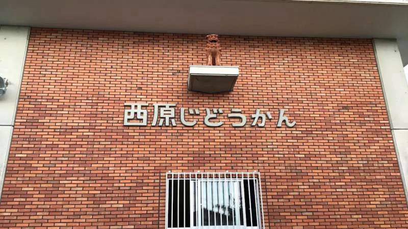 Spacious 3LDK House in Nishihara Town, Okinawa - Thumbnail 4