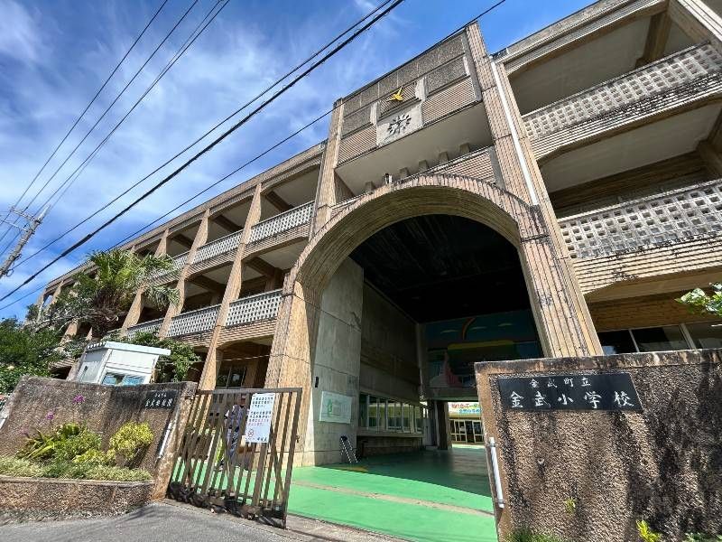 163 Tsubo Highland Ocean View Land for Sale in Kin Town, Okinawa - Thumbnail 2