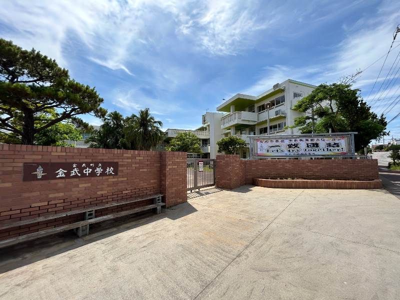 163 Tsubo Highland Ocean View Land for Sale in Kin Town, Okinawa - Thumbnail 3