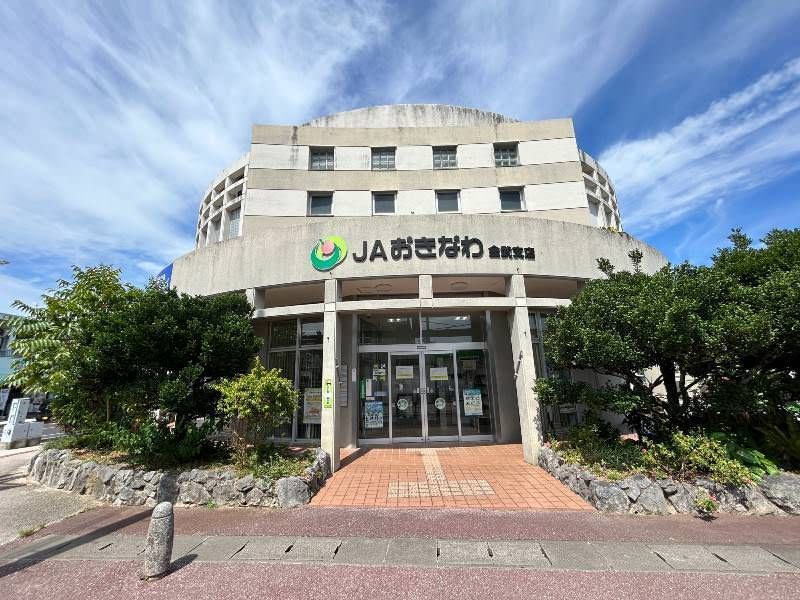 163 Tsubo Highland Ocean View Land for Sale in Kin Town, Okinawa - Thumbnail 4