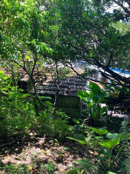 Land for Sale in Takasato, Ogimi Village, Okinawa - 685 sqm - Thumbnail 2