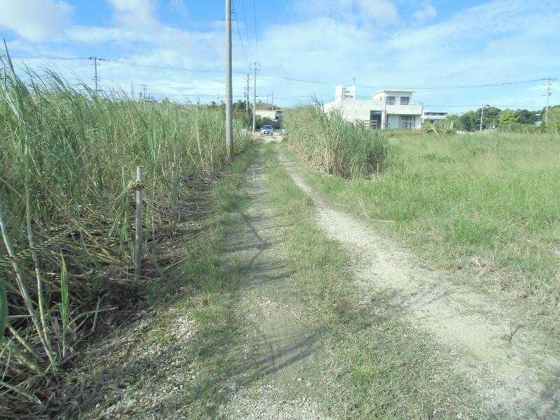 Agricultural Land for Sale in Itoman City, Okinawa - 2128 sqm - Image 1
