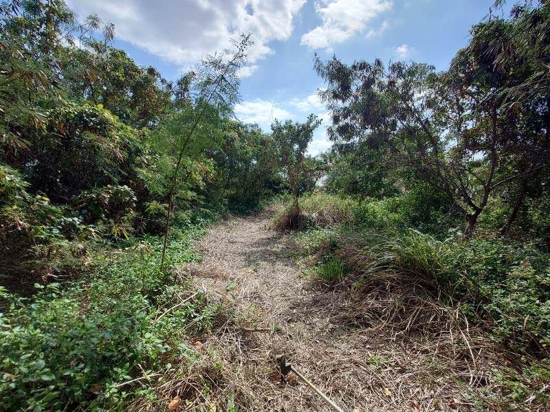 Land for Sale in Odo, Itoman City, Okinawa - 1187 sqm - Thumbnail 4