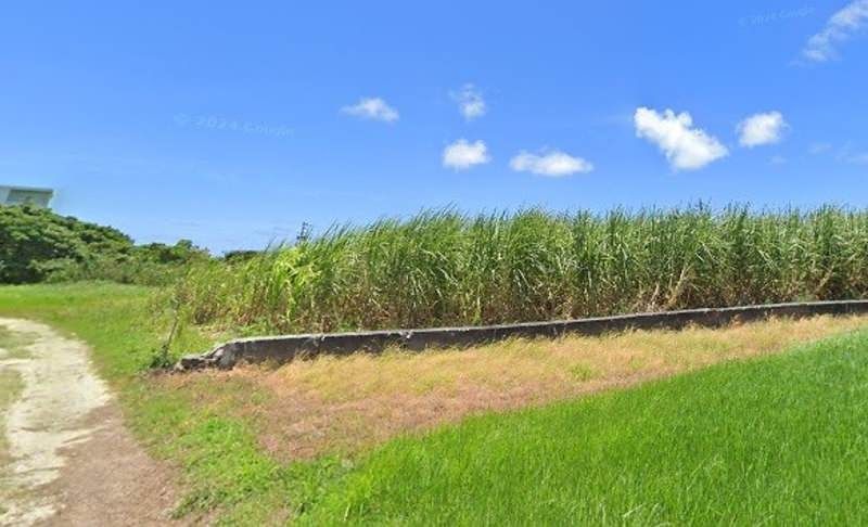 773 Tsubo Farmland for Sale in Makabe, Itoman, Okinawa - Thumbnail 4