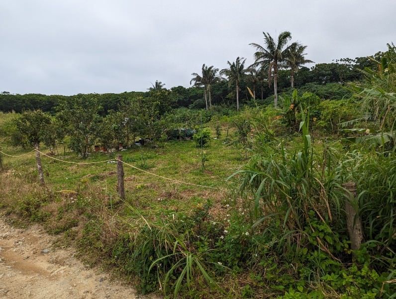 649.2 Tsubo Land for Sale in Fukai, Ishigaki Island, Okinawa - Thumbnail 3