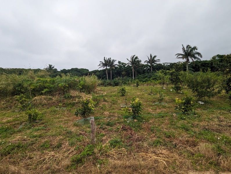 649.2 Tsubo Land for Sale in Fukai, Ishigaki Island, Okinawa - Thumbnail 2