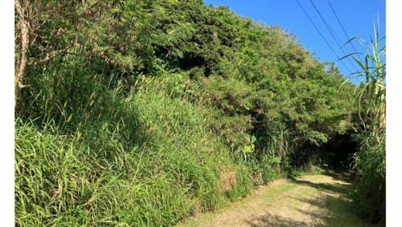 18,409 sqm Land for Sale in Ginoza Village, Okinawa - Thumbnail 3